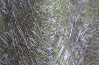 Mobberley fibreglass roof work